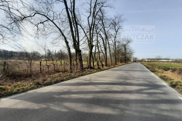 Dzialki budowlane pod Opatówkiem - Marchwacz