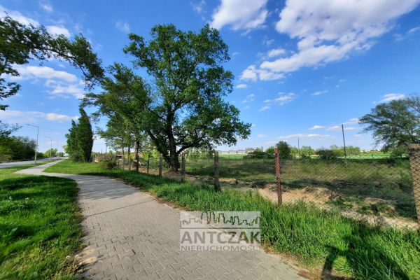 Dzialki inwestycyjne, Ostrów wielkopolski