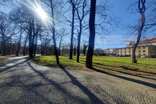 Działki komercyjne pod inwestycje w Parku Miejskim w Kaliszu