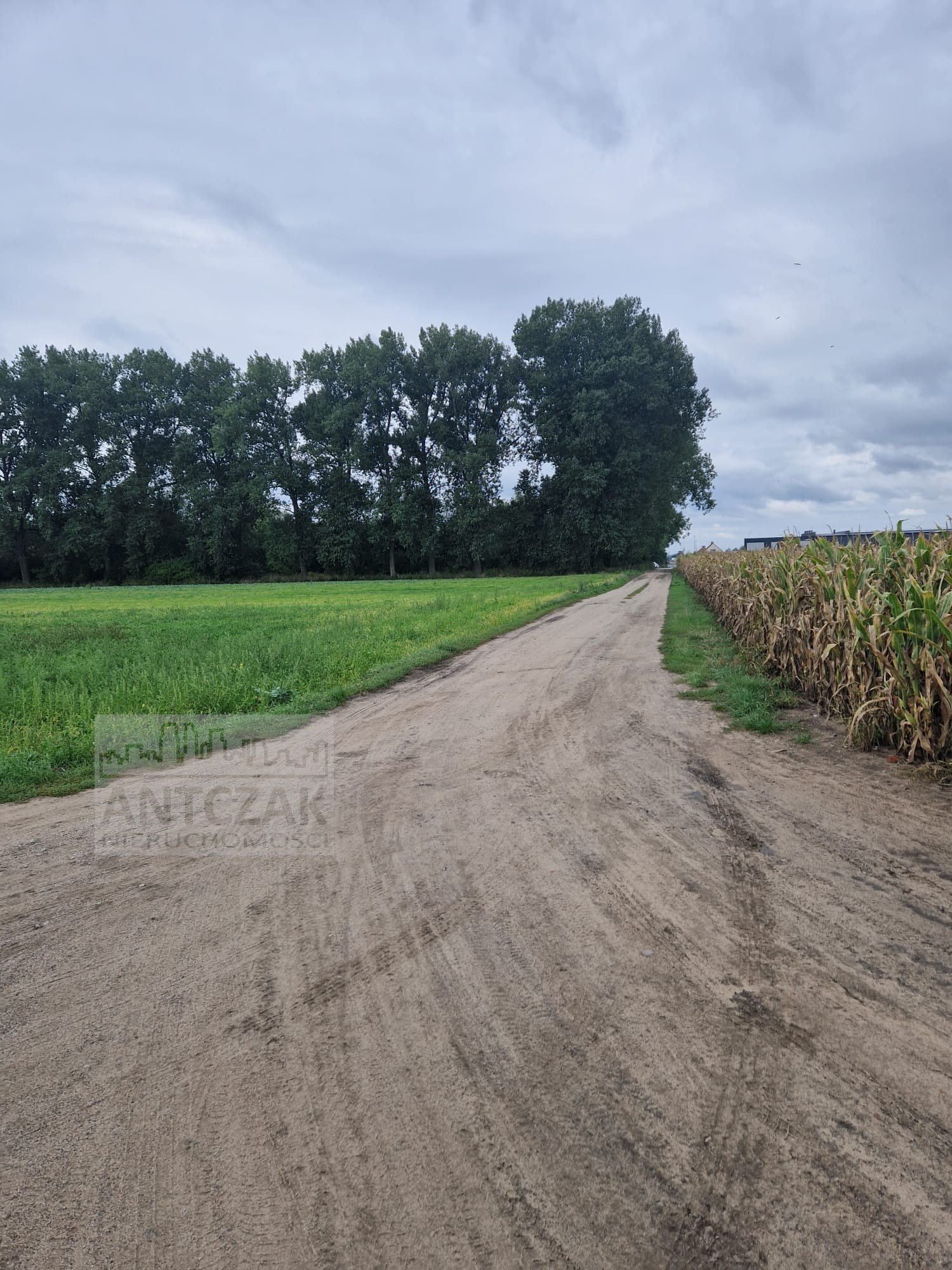 Działki inwestcyjne